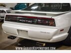 Thumbnail Photo 44 for 1991 Pontiac Firebird Trans Am Coupe